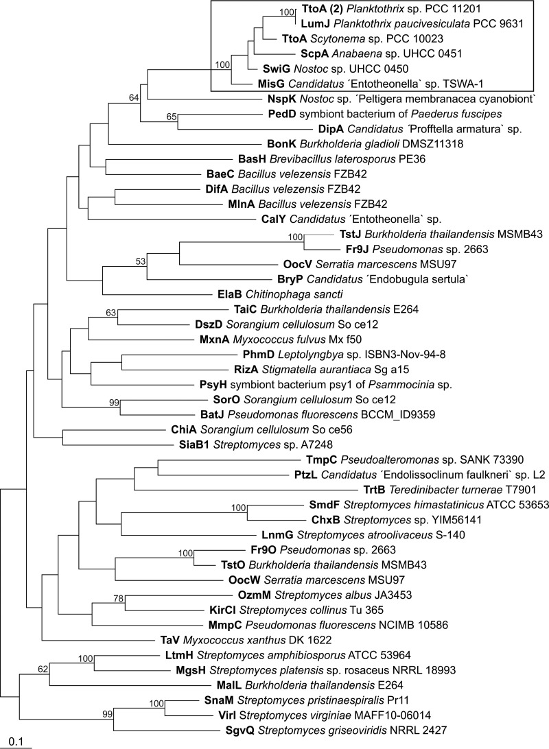 FIG 6