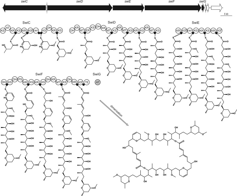 FIG 3