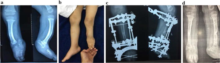 Fig. 3