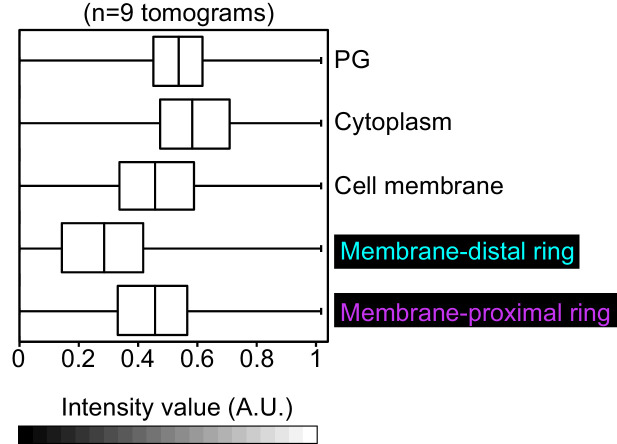 Figure 3—figure supplement 2.