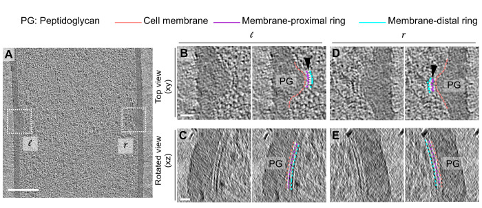 Figure 4.