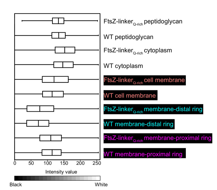 Figure 6—figure supplement 2.