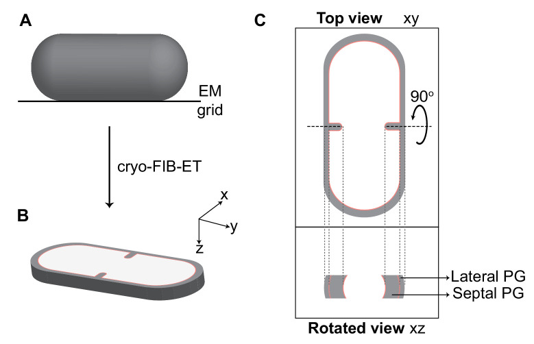 Figure 2.