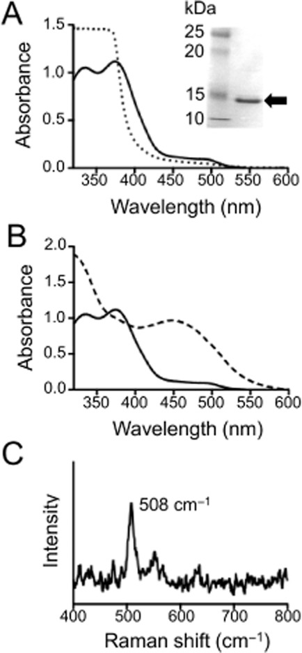 Figure 7