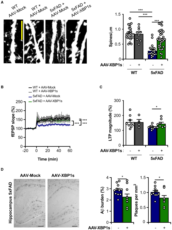 Figure 4