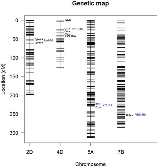 Figure 12