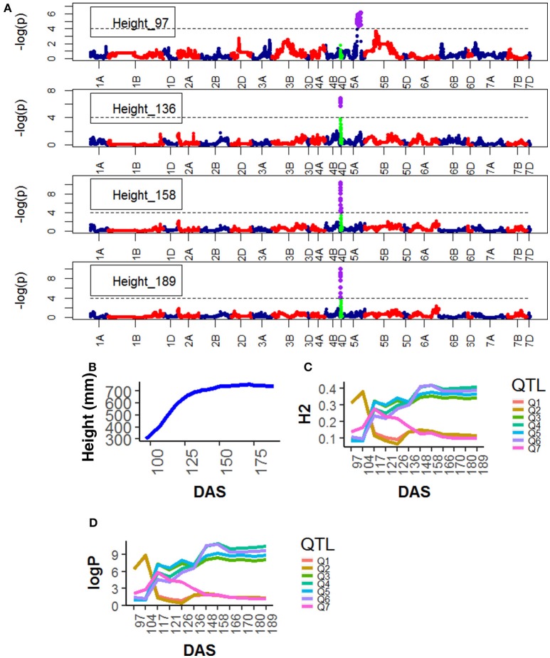 Figure 5