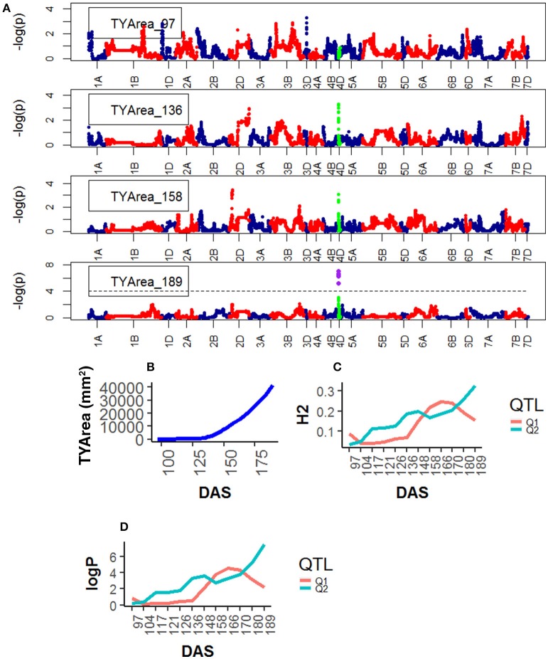 Figure 6