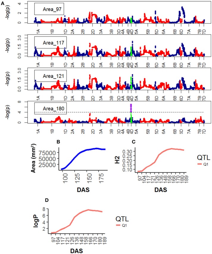 Figure 4