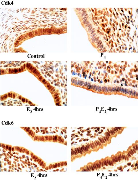 FIG. 8