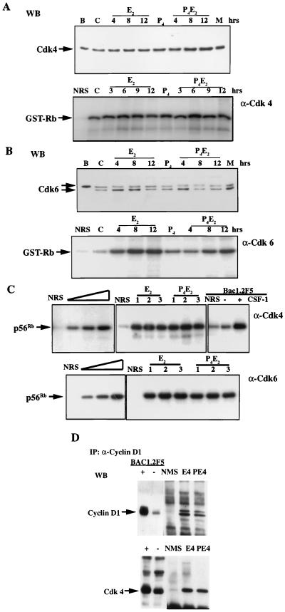 FIG. 7