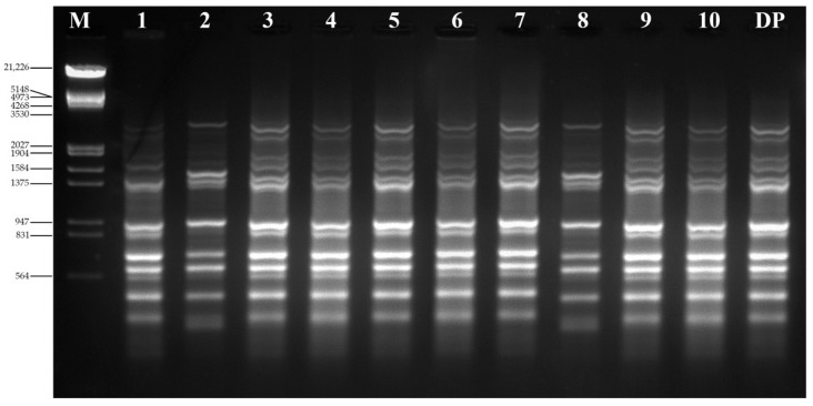 Figure 4