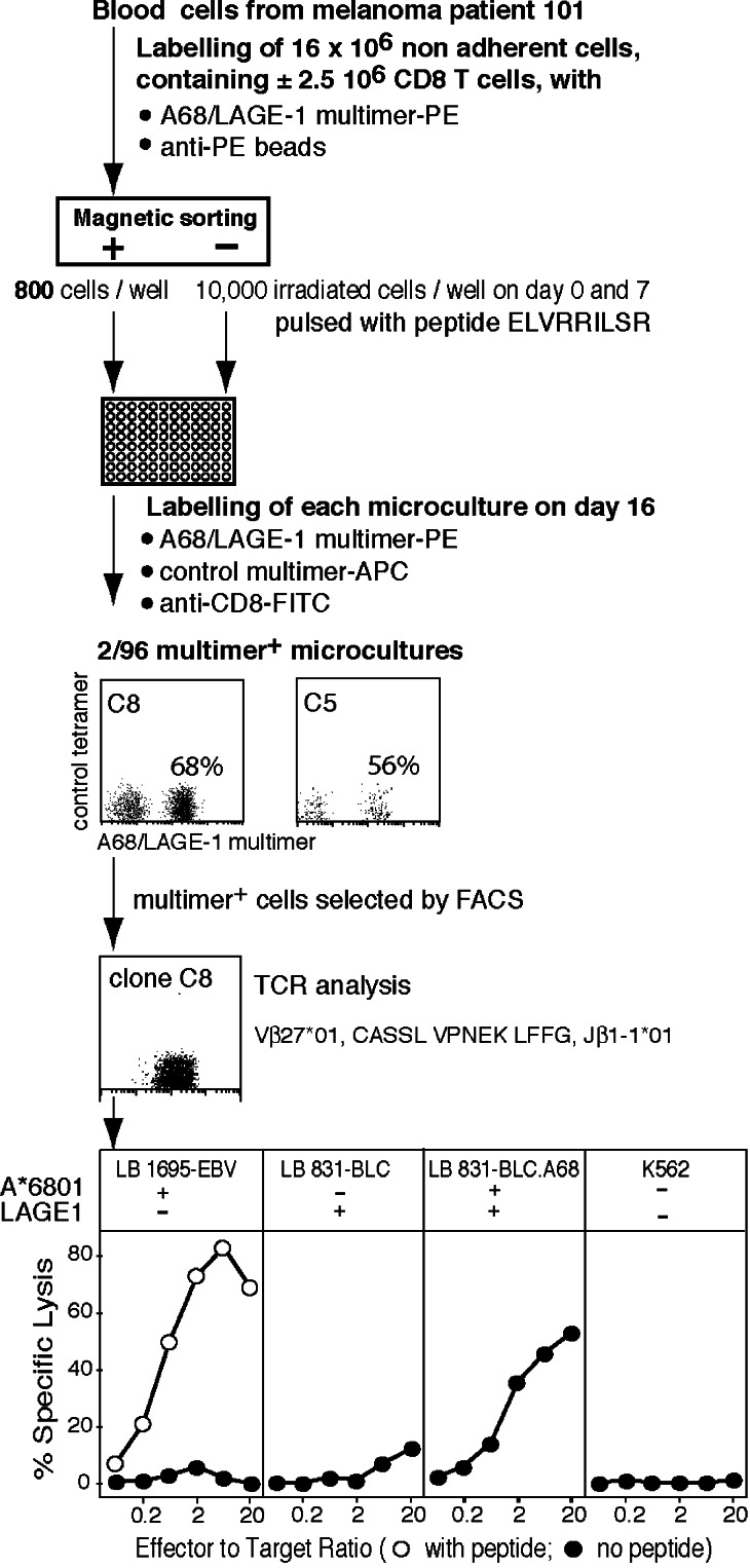 Fig. 6