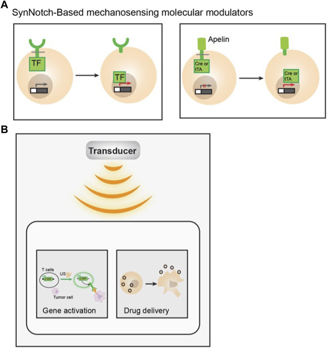 FIGURE 4