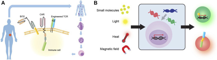 FIGURE 3