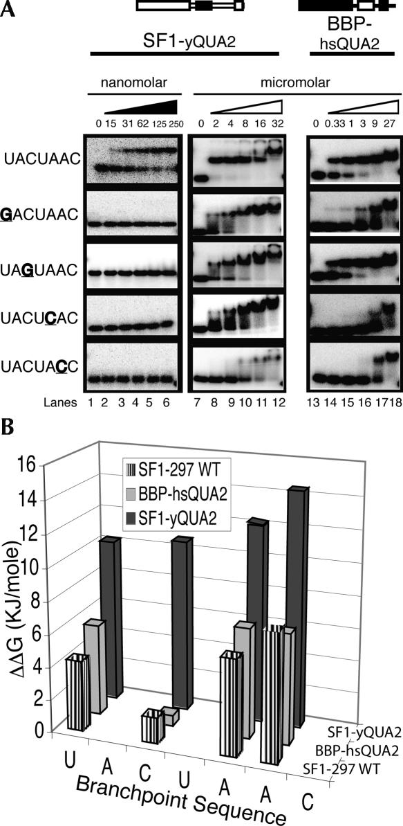 FIGURE 4.