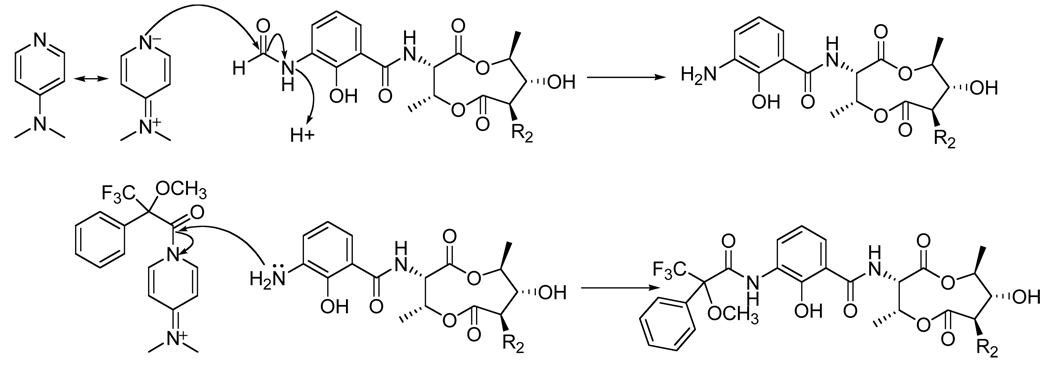 Scheme 1