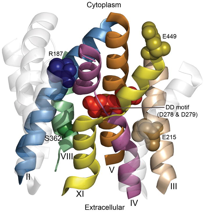 Fig. 8