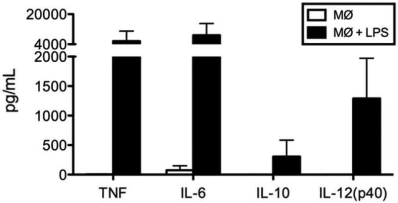 Fig. 4