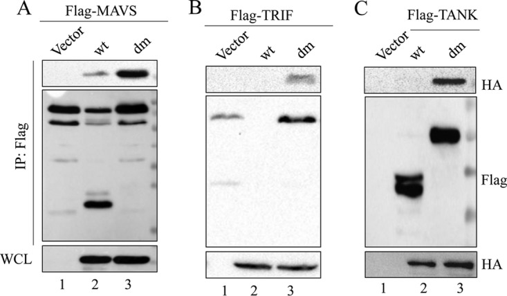 FIG 5