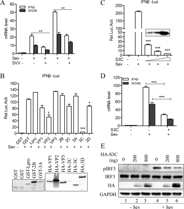 FIG 2