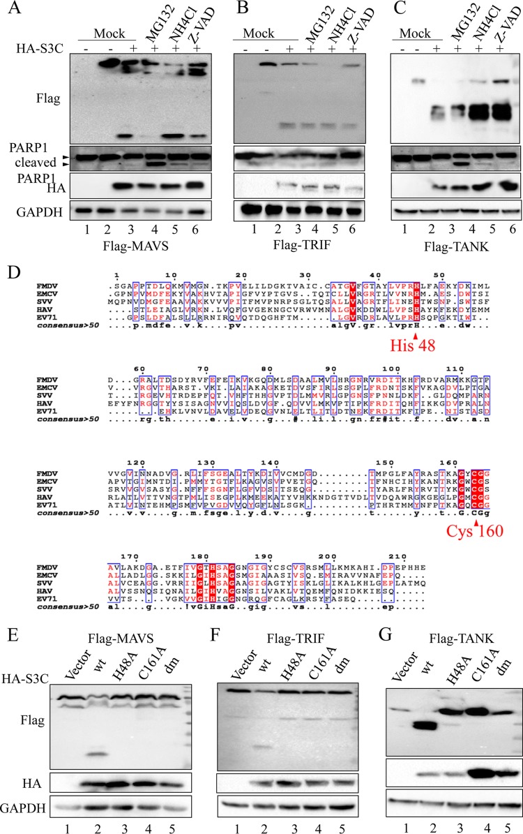 FIG 4