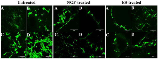 FIGURE 10: