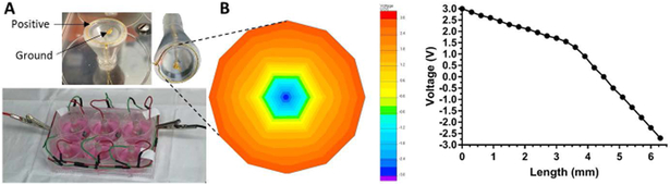 FIGURE 3: