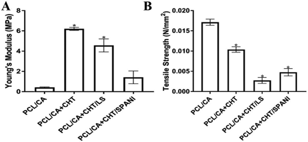 FIGURE 9: