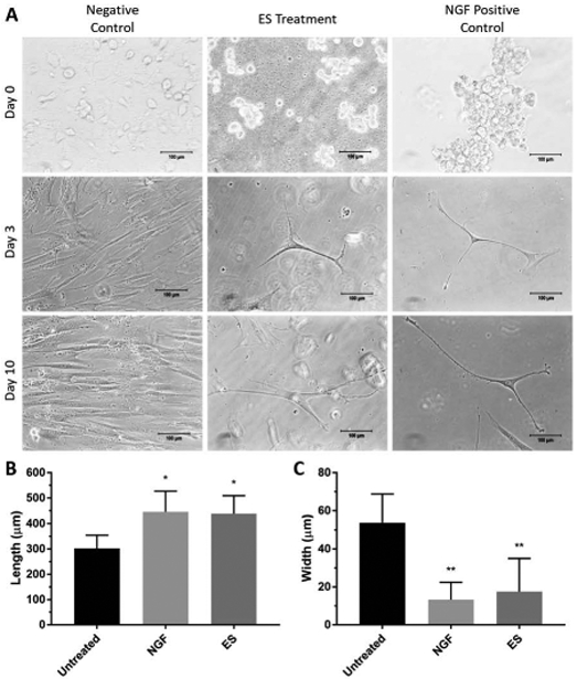 FIGURE 4: