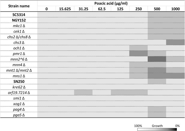 Supplementary Fig. 1