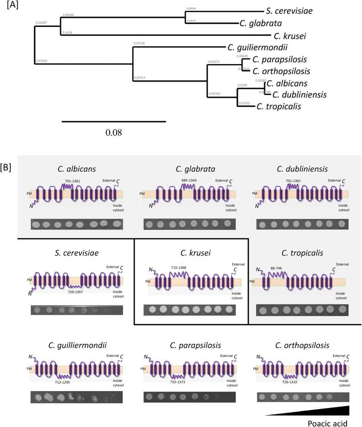 Supplementary Fig. 3