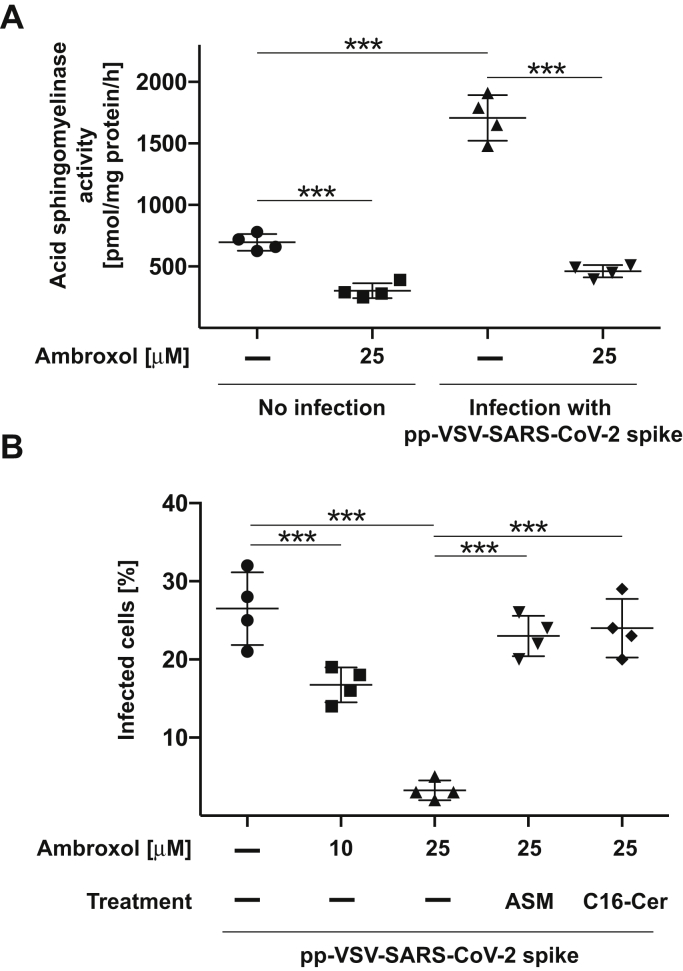 Figure 5