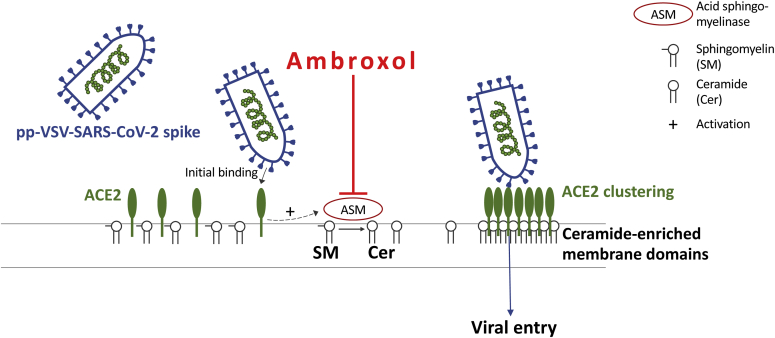 Figure 7