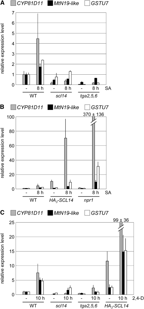 Figure 7.