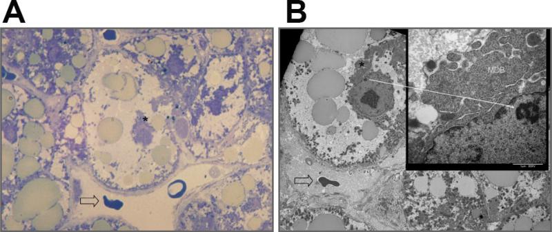 Fig .4