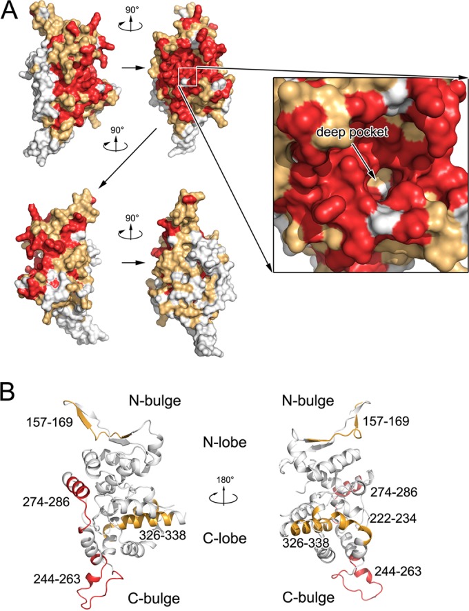 FIG 7