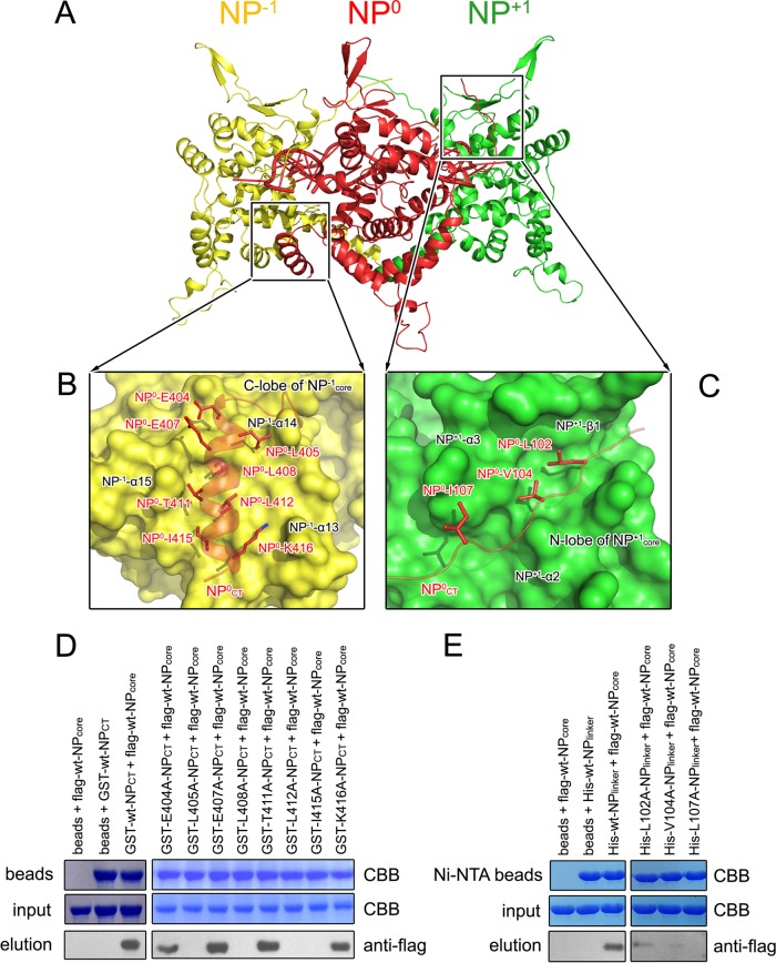 FIG 3