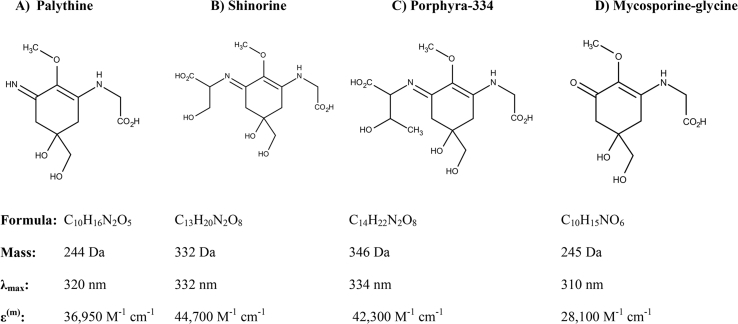 Fig. 2