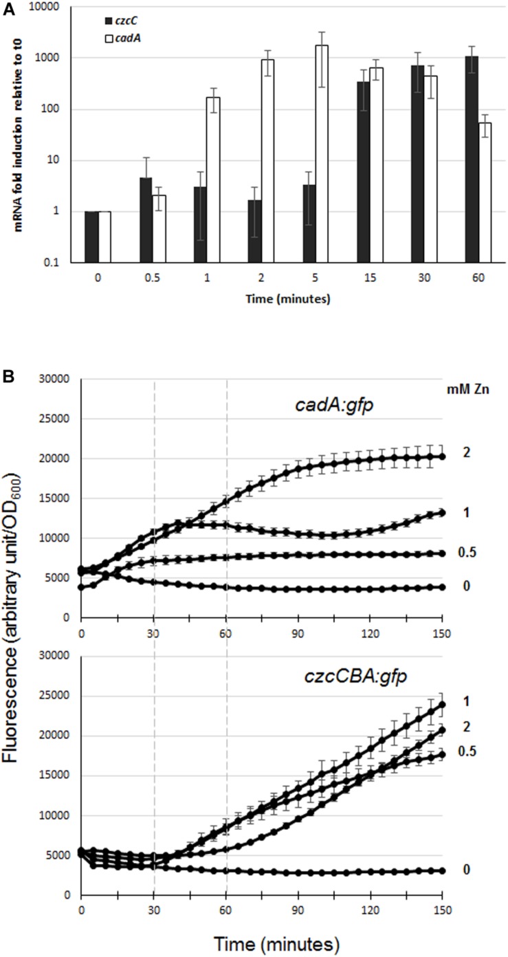 FIGURE 2