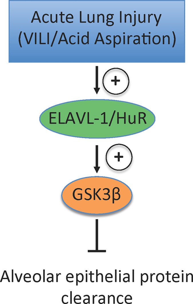 Fig 5