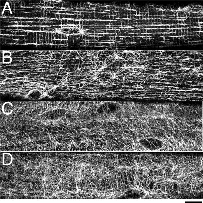 Fig.1