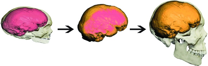 FIGURE 6