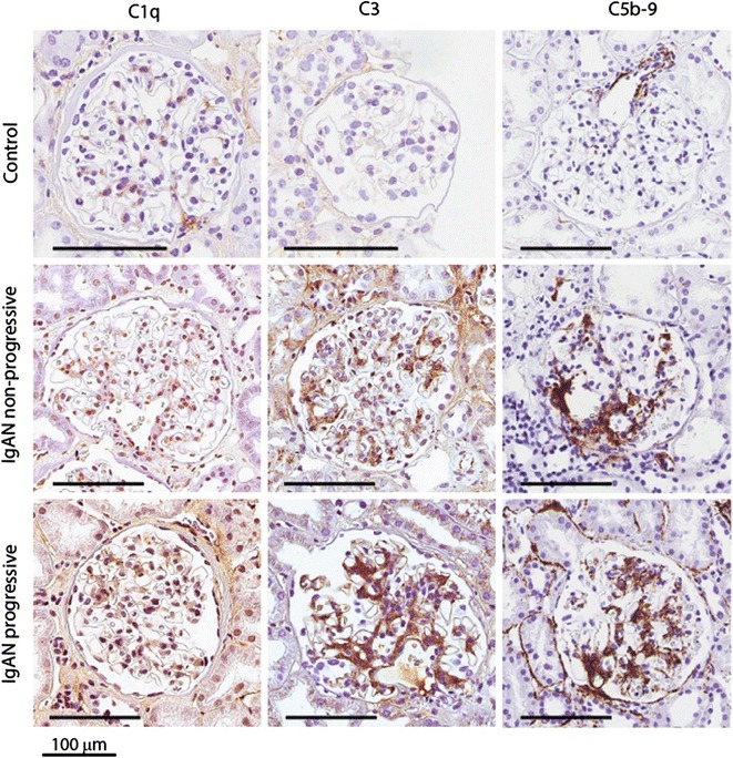 Fig. 2