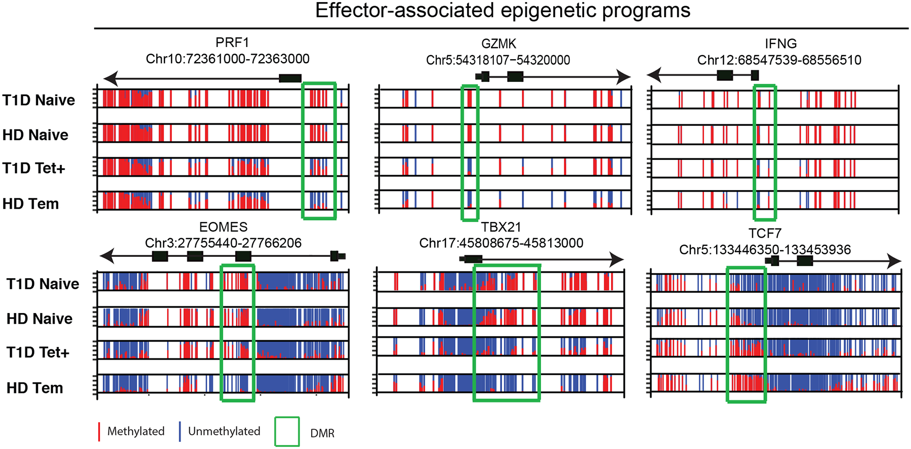 Figure 3: