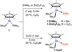 Scheme 3