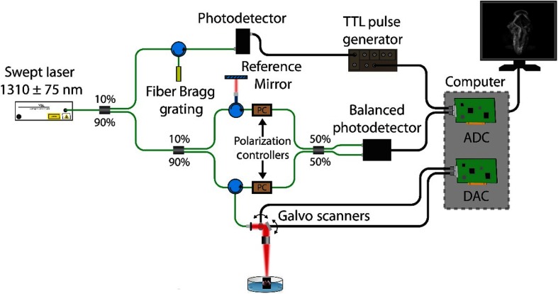 Fig. 2