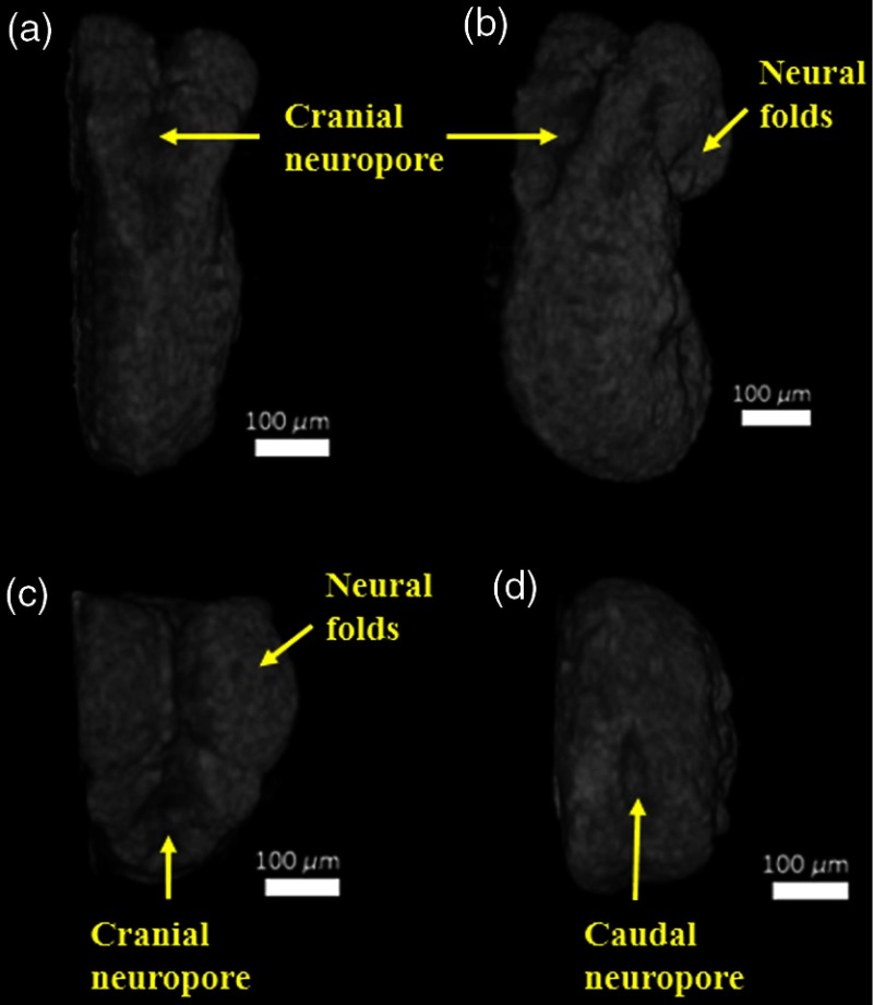 Fig. 5