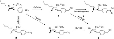 Figure 10