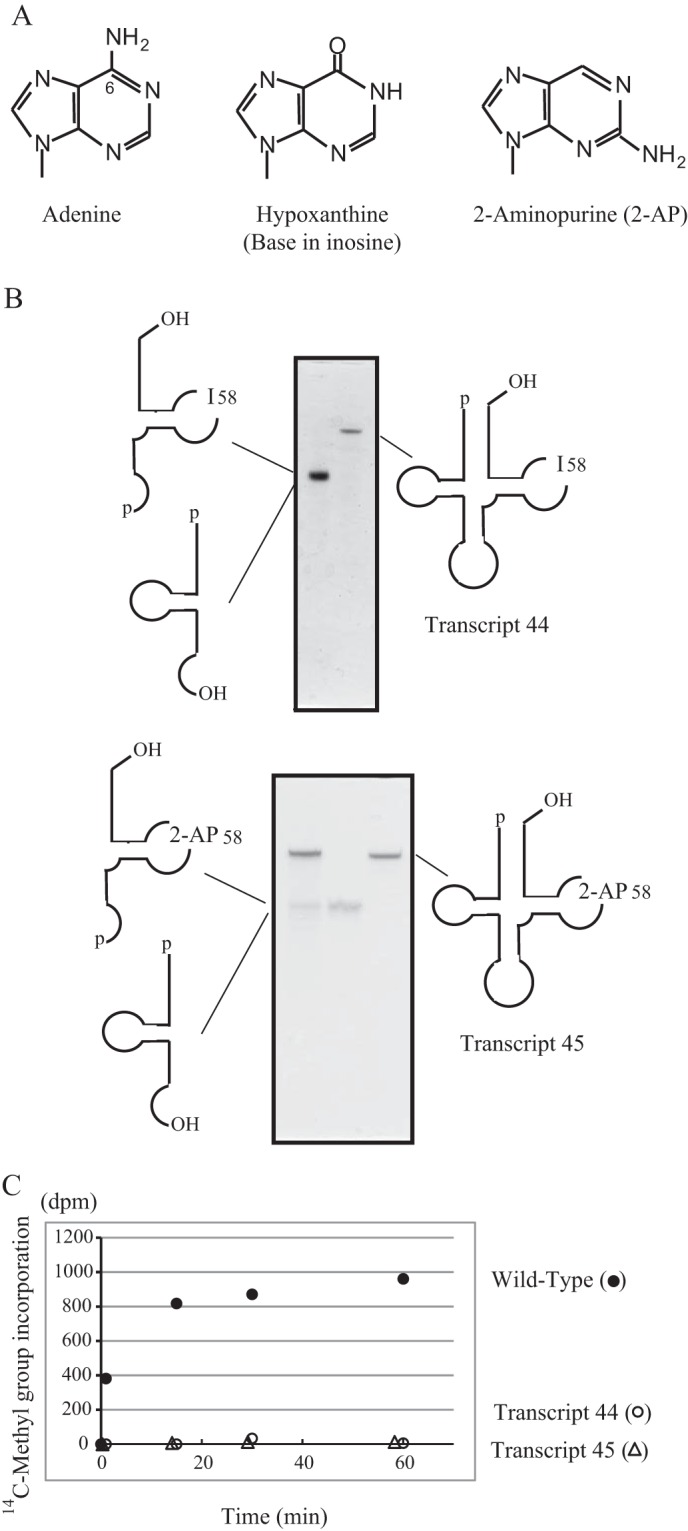 FIGURE 6.